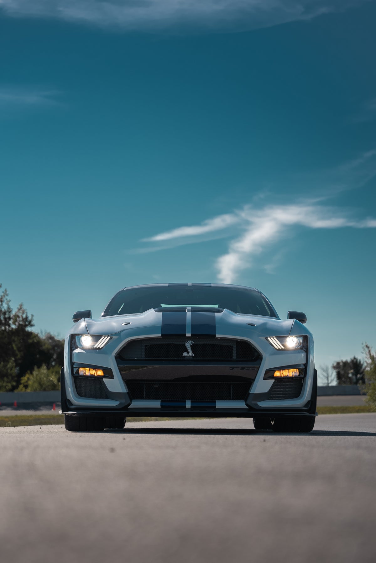Location - Rental | Ford Mustang Shelby GT500