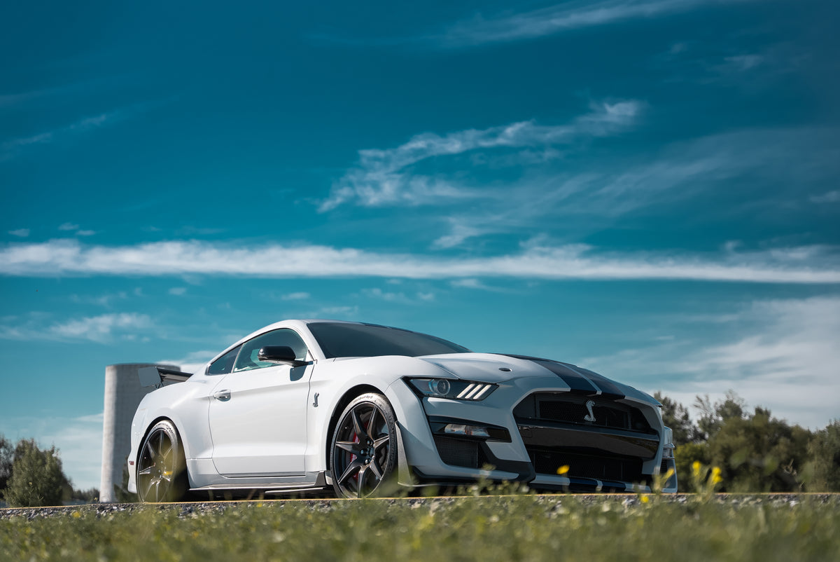 Location - Rental | Ford Mustang Shelby GT500